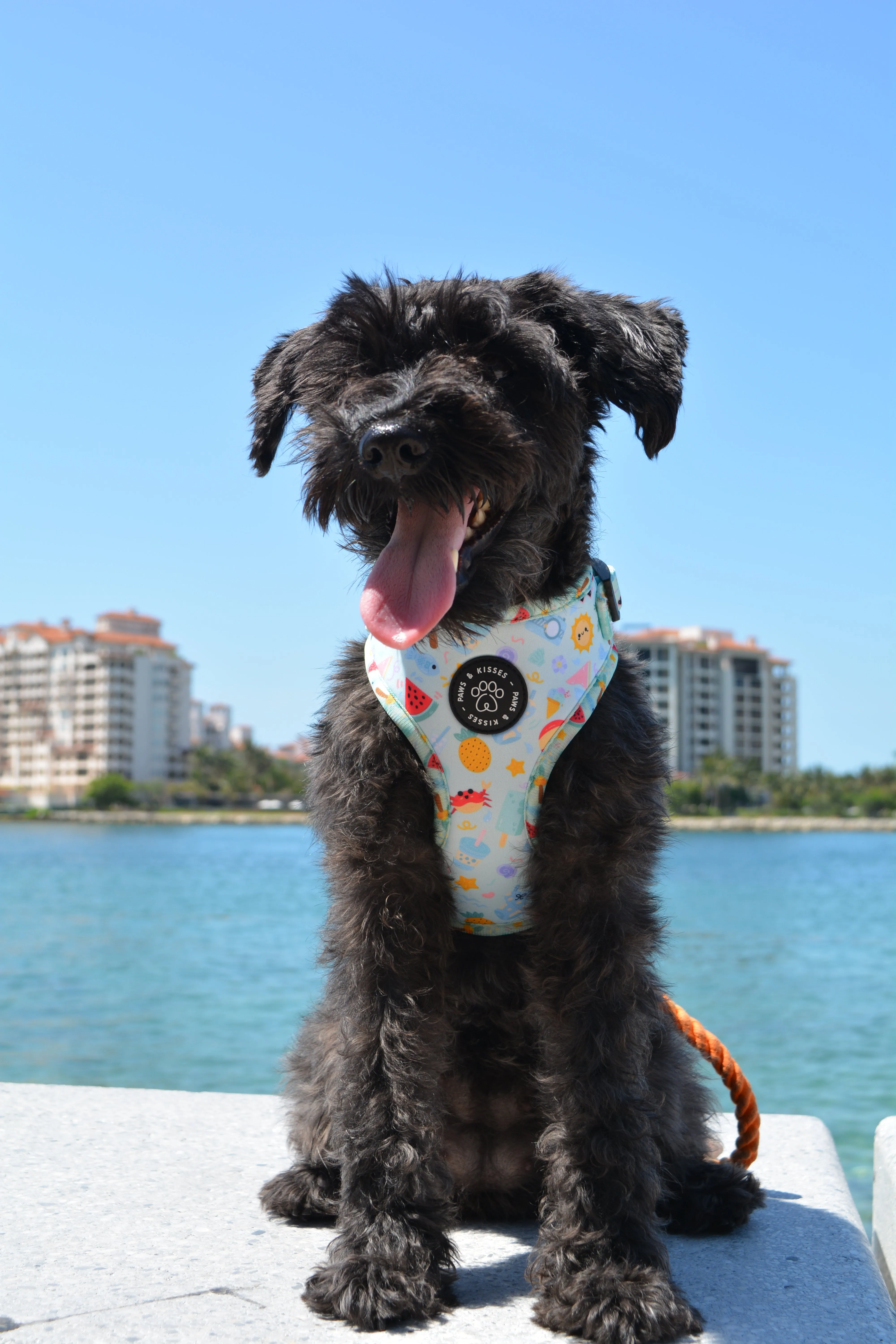 Adjustable Harness - Beach Pawty