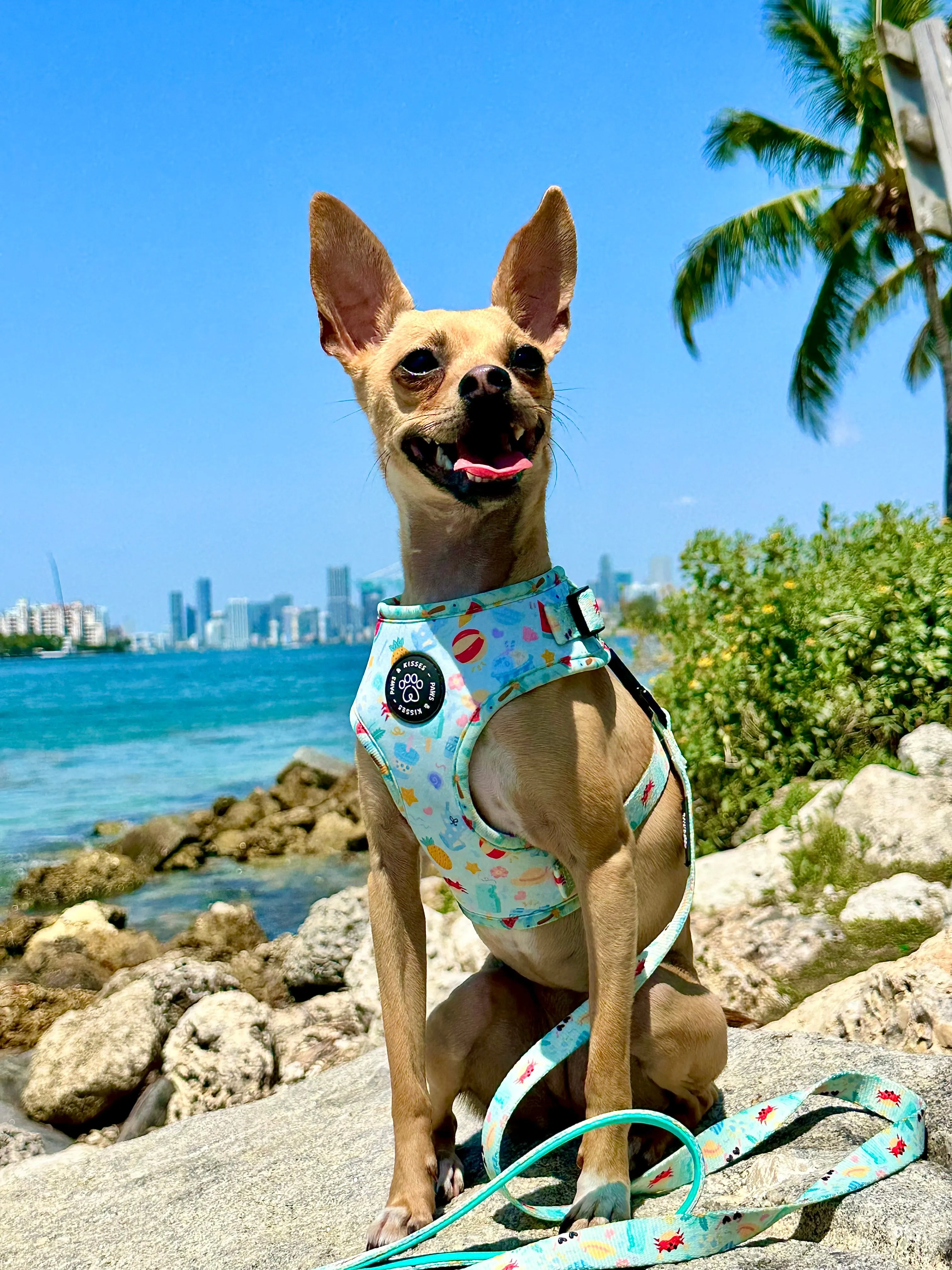 Adjustable Harness - Beach Pawty