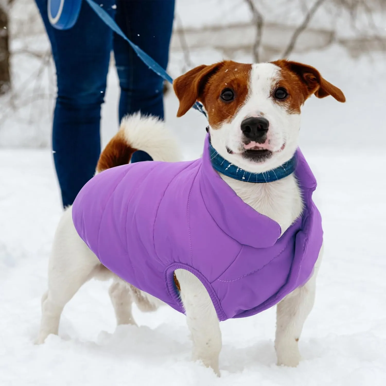 ASENKU Windproof Winter Coat - Waterproof Jacket, Warm Vest for Cold Weather - Pet Apparel With 2 Layers Fleece Lined for Small Medium Large Dogs (Purple, XS)
