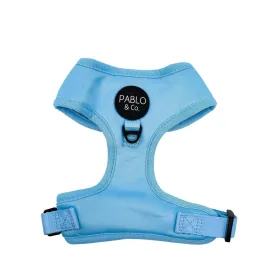 Baby Blue Adjustable Dog Harness