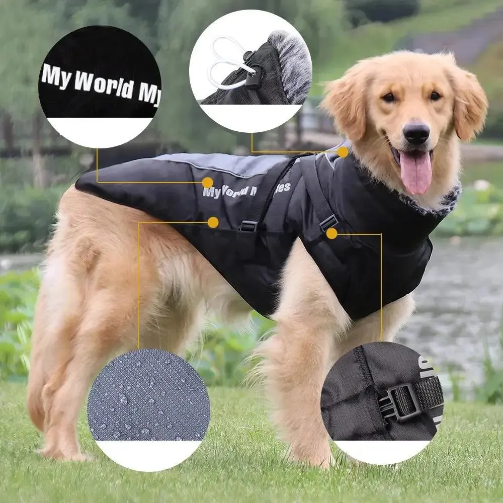 Big Dog Shell Jacket for your Furry Friend - Dog Clothes