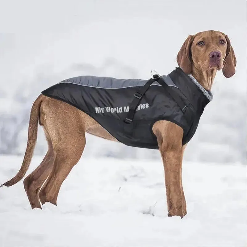 Big Dog Shell Jacket for your Furry Friend - Dog Clothes