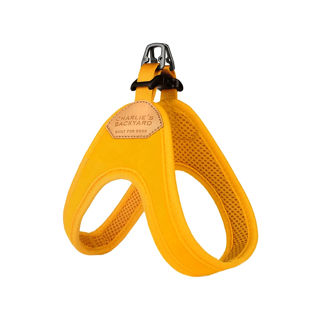 Buckle-Up Easy Harness Blue