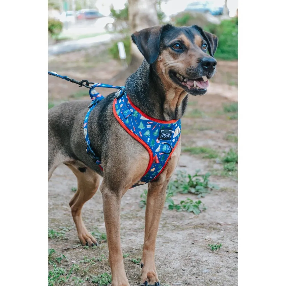 Camping Adjustable Dog Harness