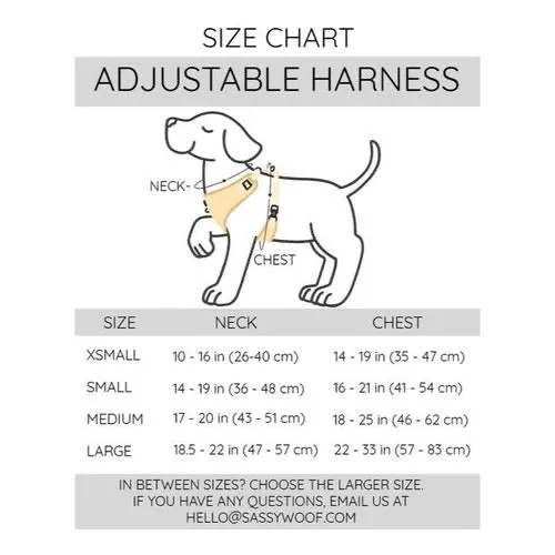 Camping Adjustable Dog Harness