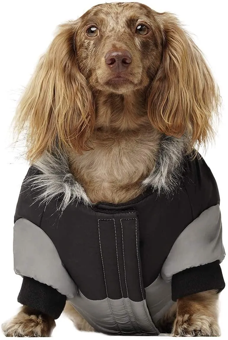 Canada Pooch True North Parka Size 14  Grey Reflective Insulated Dog Coat