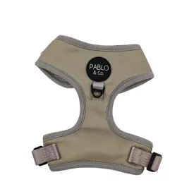Crayon Adjustable Dog Harness