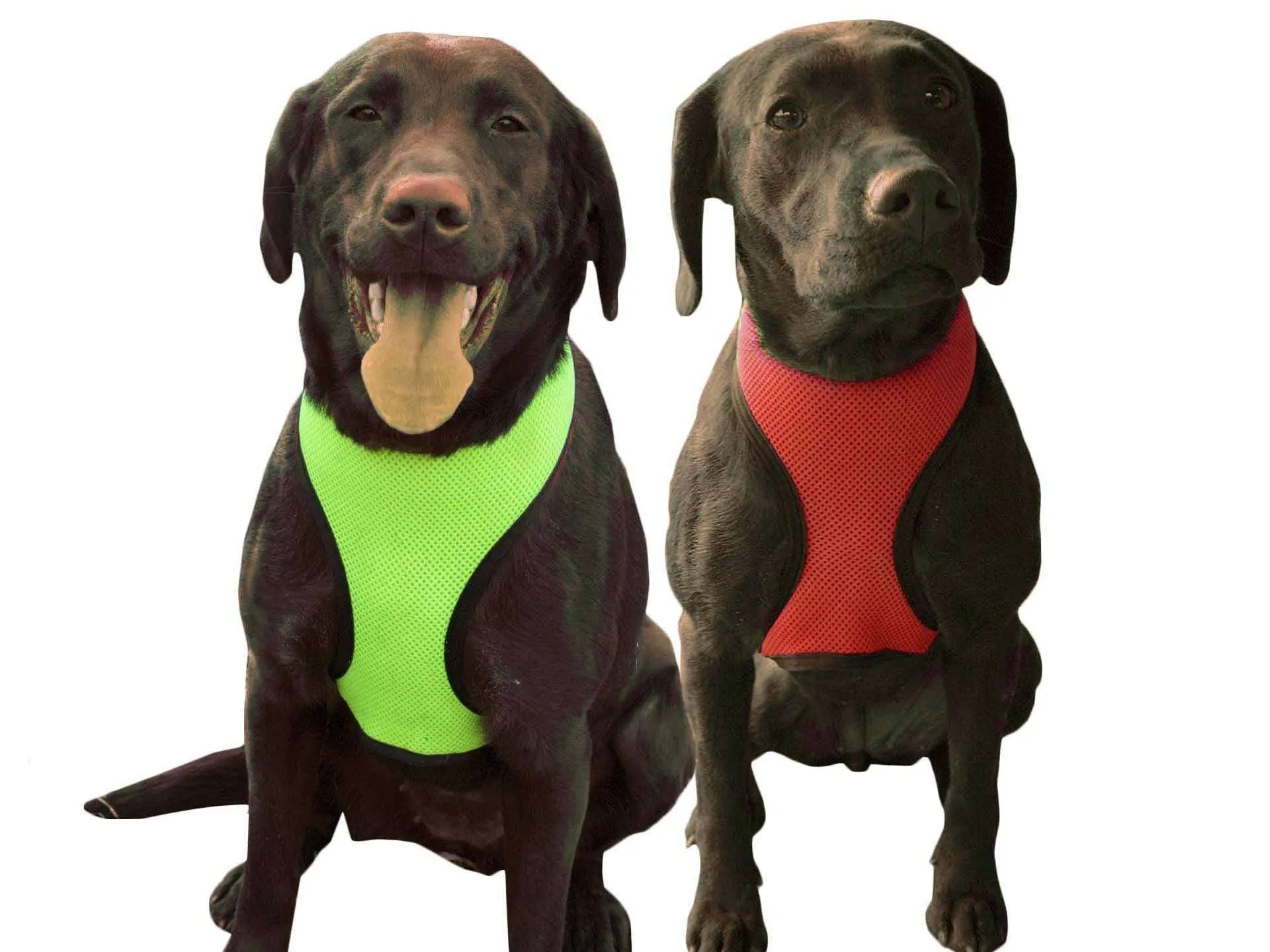 CuteNFuzzy Comfort Mesh Breathable Adjustable Dog Harness Vest with 6 Month Warranty