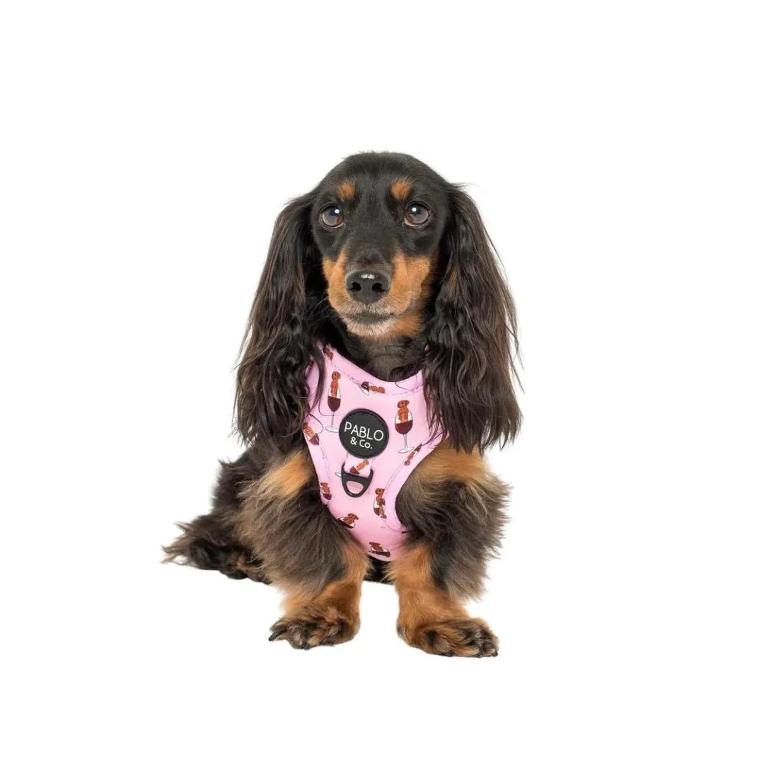 Dachshunds & Wine Adjustable Dog Harness