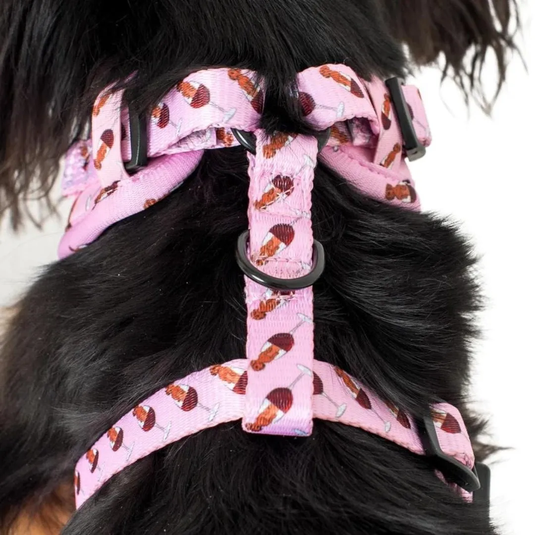 Dachshunds & Wine Adjustable Dog Harness
