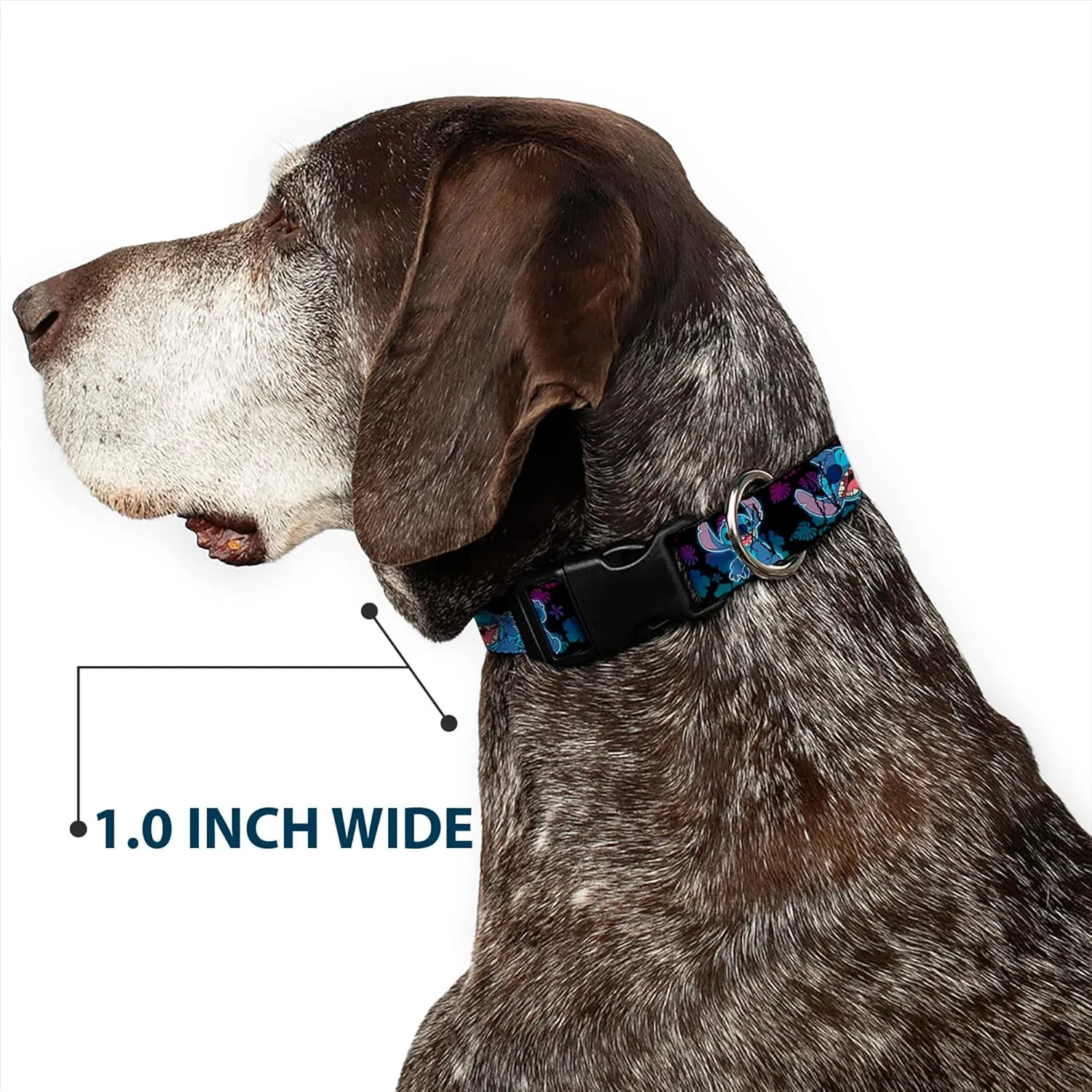 Disney Pet Collar, Dog Collar Plastic Buckle, Stitch Expressions and Poses Tropical Black Purple Blue Fade, 9.5 to 14.5 Inches 0.5 Inch Wide
