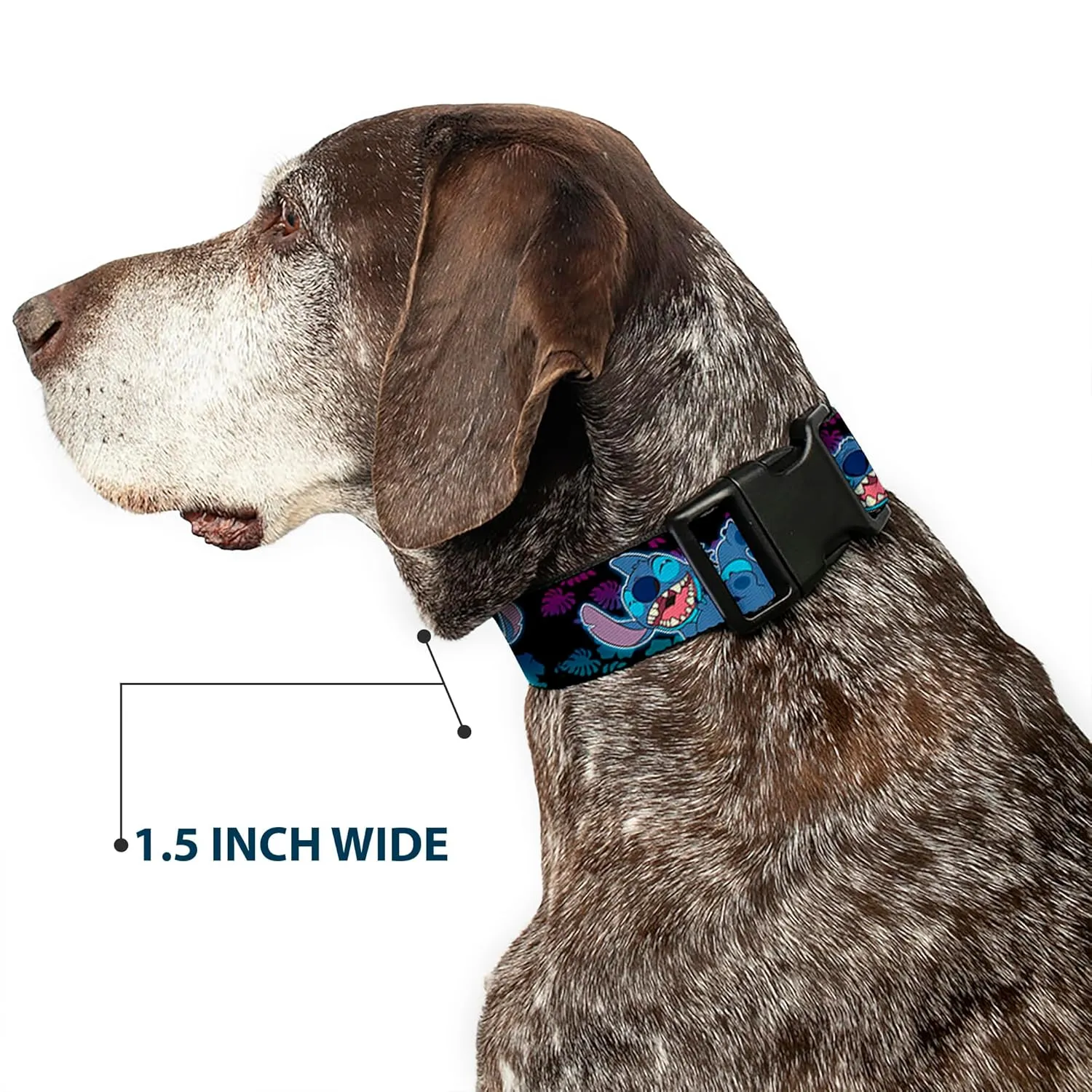 Disney Pet Collar, Dog Collar Plastic Buckle, Stitch Expressions and Poses Tropical Black Purple Blue Fade, 9.5 to 14.5 Inches 0.5 Inch Wide