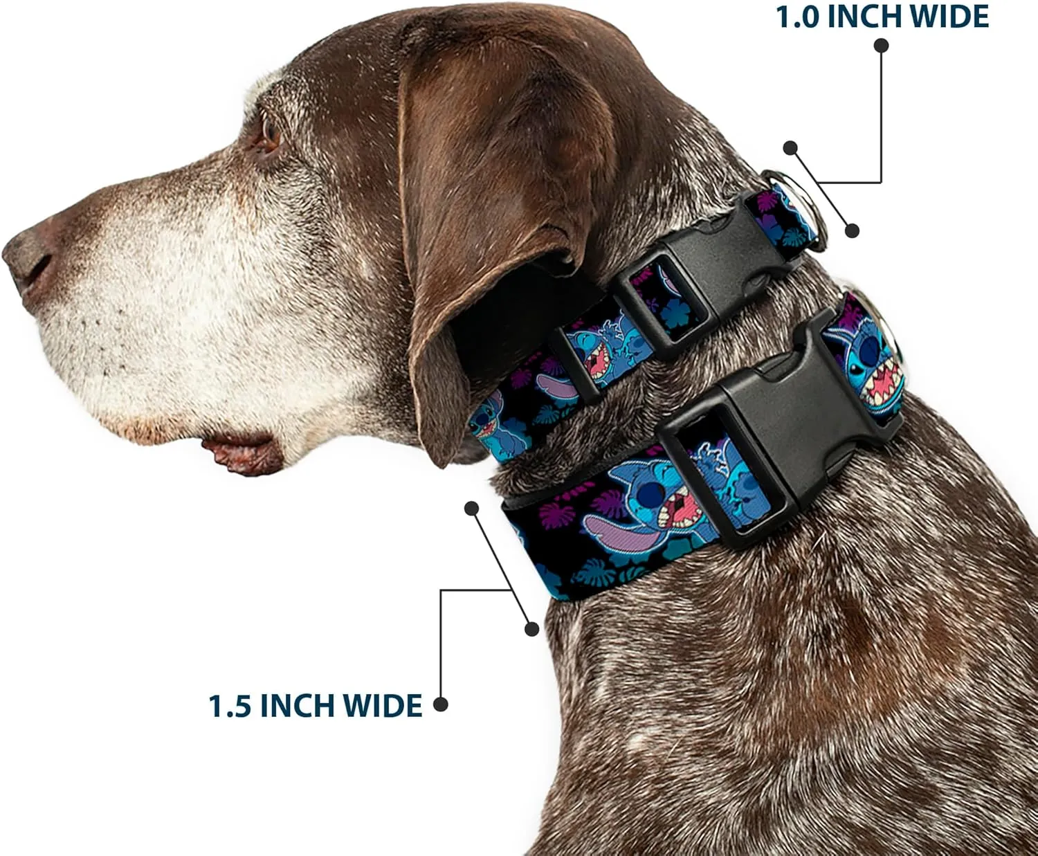 Disney Pet Collar, Dog Collar Plastic Buckle, Stitch Expressions and Poses Tropical Black Purple Blue Fade, 9.5 to 14.5 Inches 0.5 Inch Wide