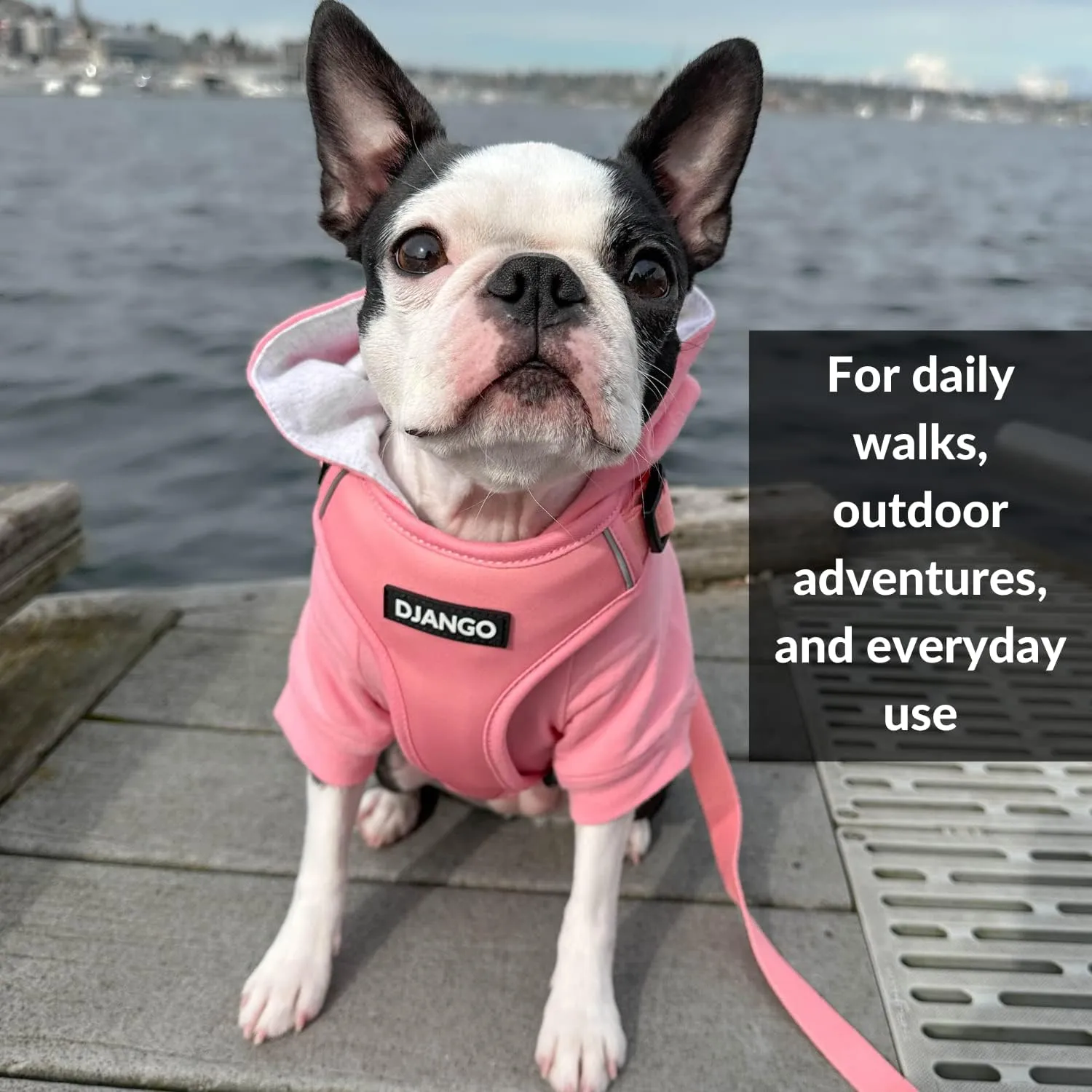 DJANGO Fully Lined Hoodie for Dog - Soft, Stretchy, and Cozy Sweatshirts for Dogs - Quartz Pink Winter Dog Sweaters for Dachshunds and Small Dogs - Warm Dog Hoodie X-Small with Elastic Waistband