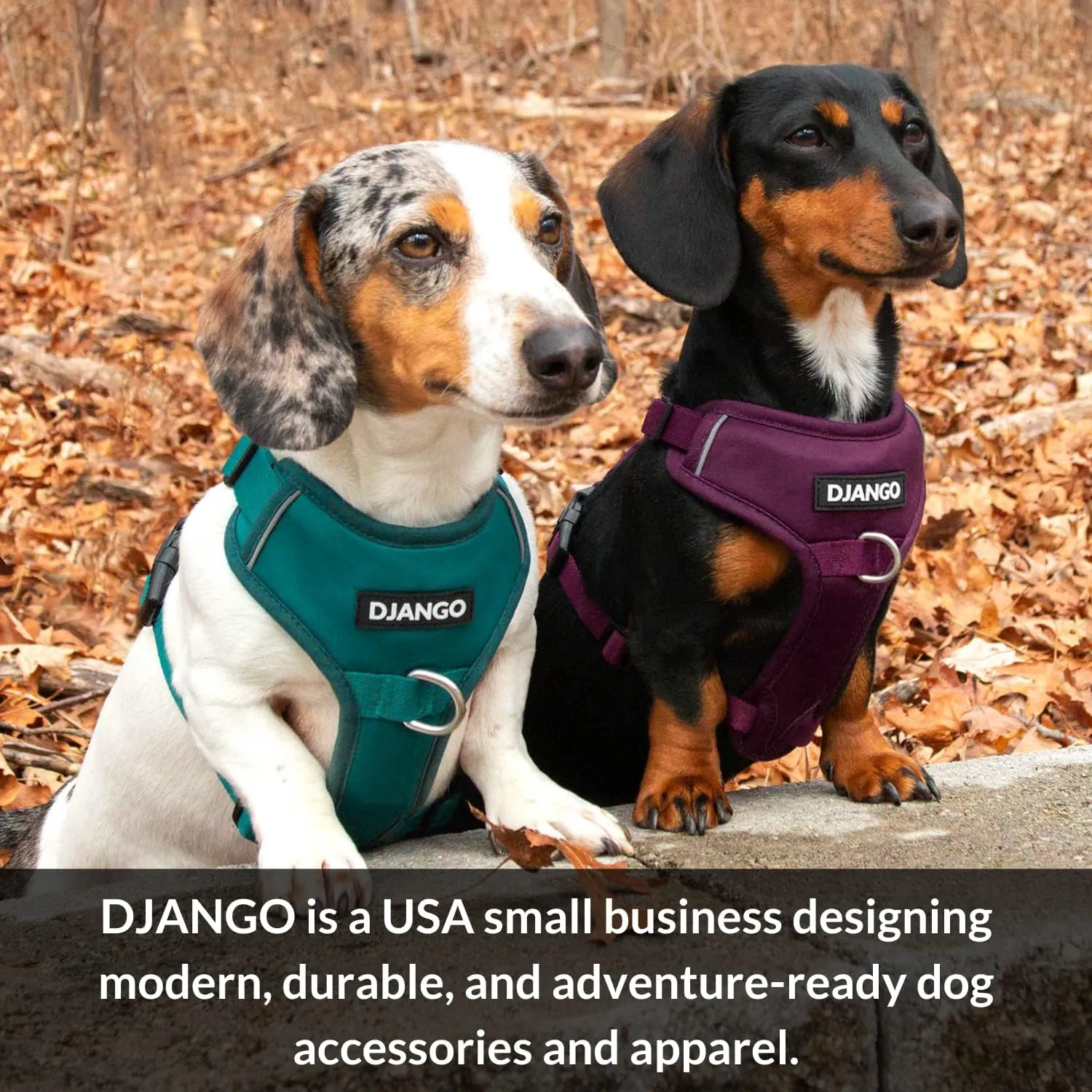 DJANGO Fully Lined Hoodie for Dog - Soft, Stretchy, and Cozy Sweatshirts for Dogs - Quartz Pink Winter Dog Sweaters for Dachshunds and Small Dogs - Warm Dog Hoodie X-Small with Elastic Waistband