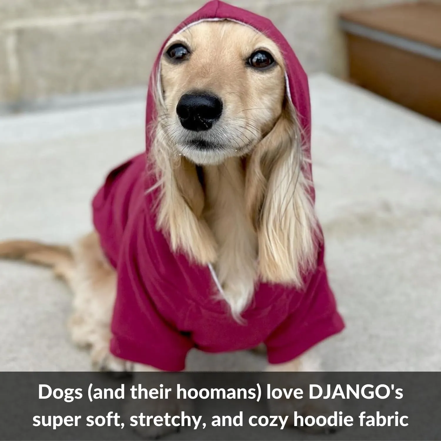 DJANGO Fully Lined Hoodie for Dog - Soft, Stretchy, and Cozy Sweatshirts for Dogs - Quartz Pink Winter Dog Sweaters for Dachshunds and Small Dogs - Warm Dog Hoodie X-Small with Elastic Waistband