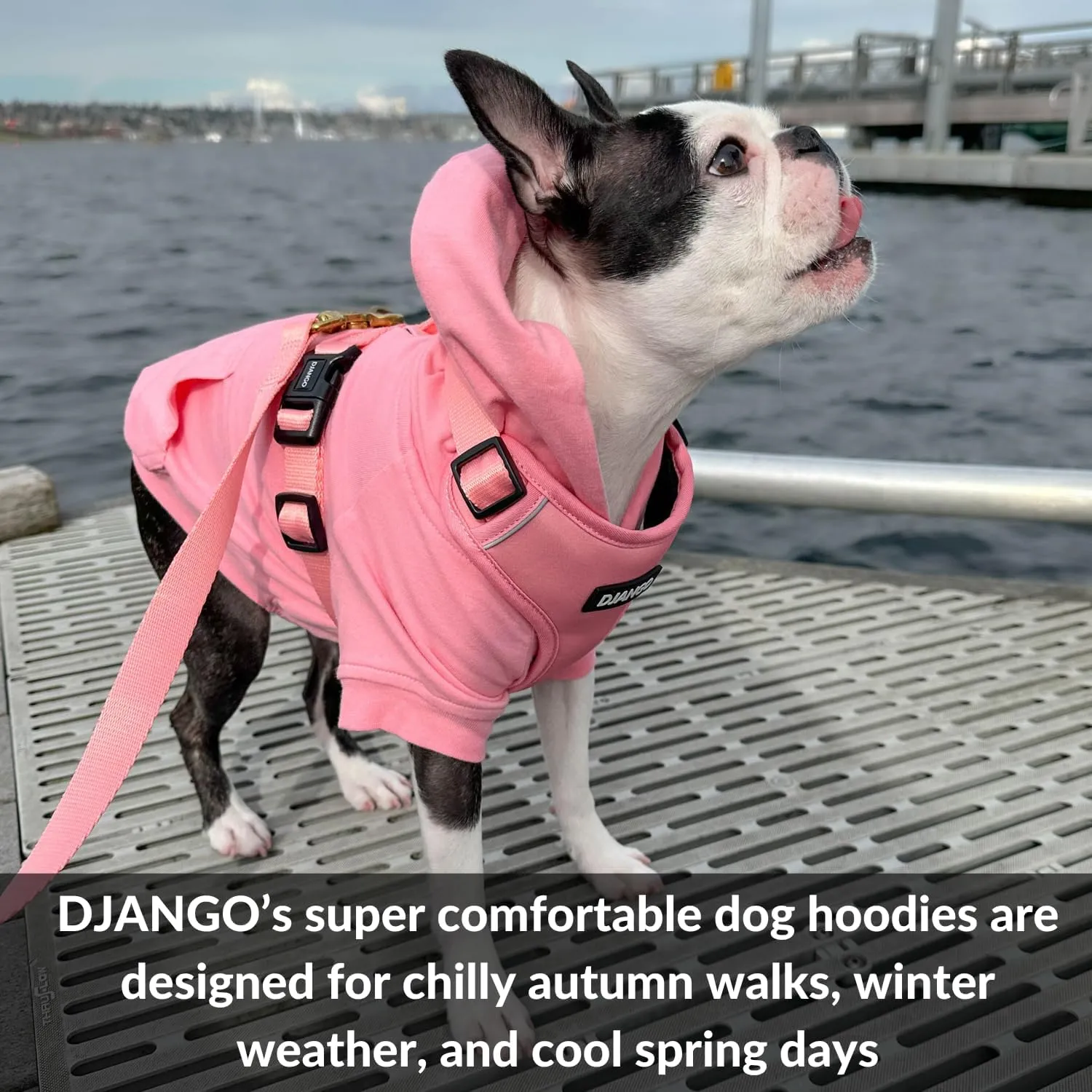 DJANGO Fully Lined Hoodie for Dog - Soft, Stretchy, and Cozy Sweatshirts for Dogs - Quartz Pink Winter Dog Sweaters for Dachshunds and Small Dogs - Warm Dog Hoodie X-Small with Elastic Waistband