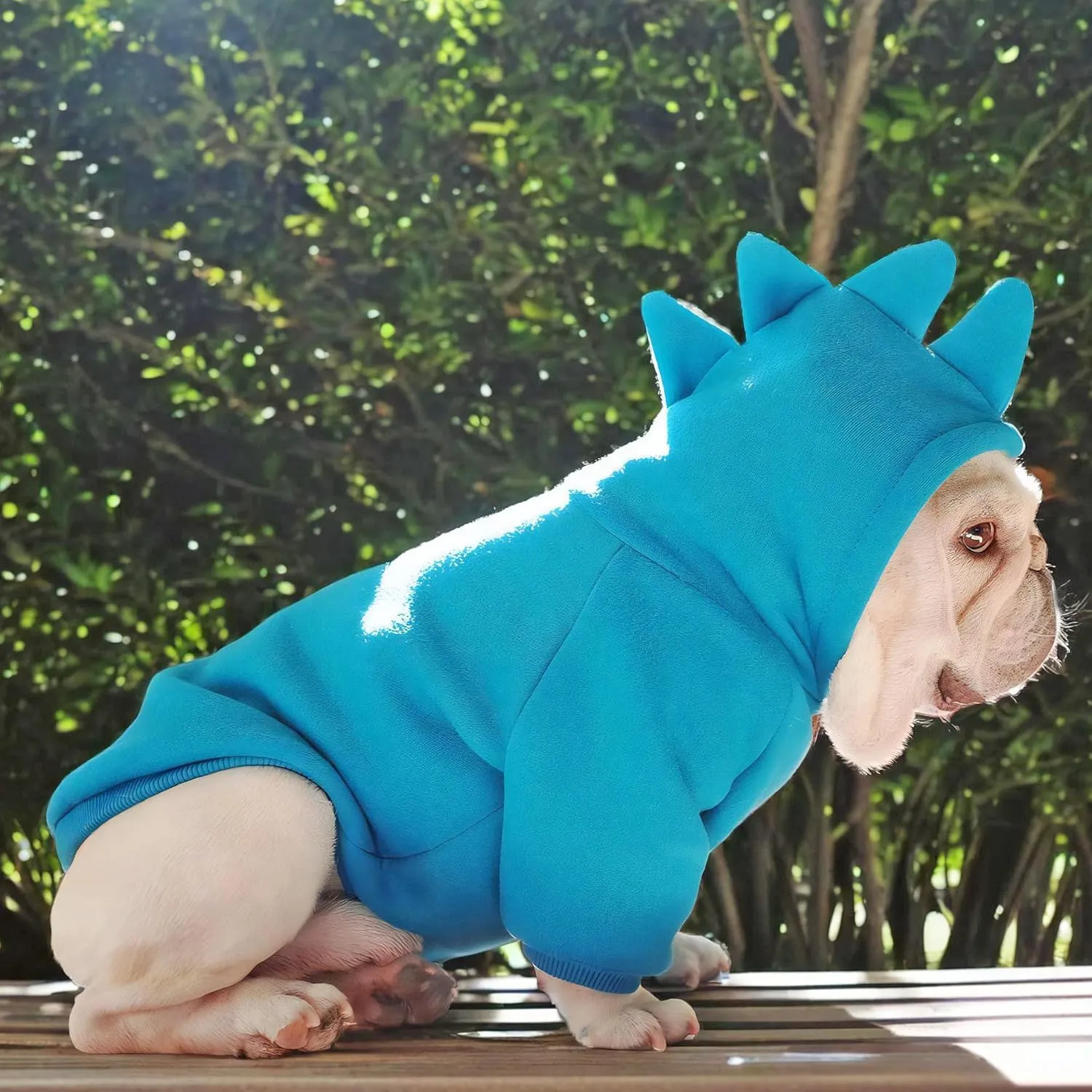 Dog Halloween Costume Hoodie, French Bulldog Sweater French Bulldog Clothes, Frenchie Clothes Sweatshirt Halloween Dinosaur Costume Winter Coat,Blue,XL
