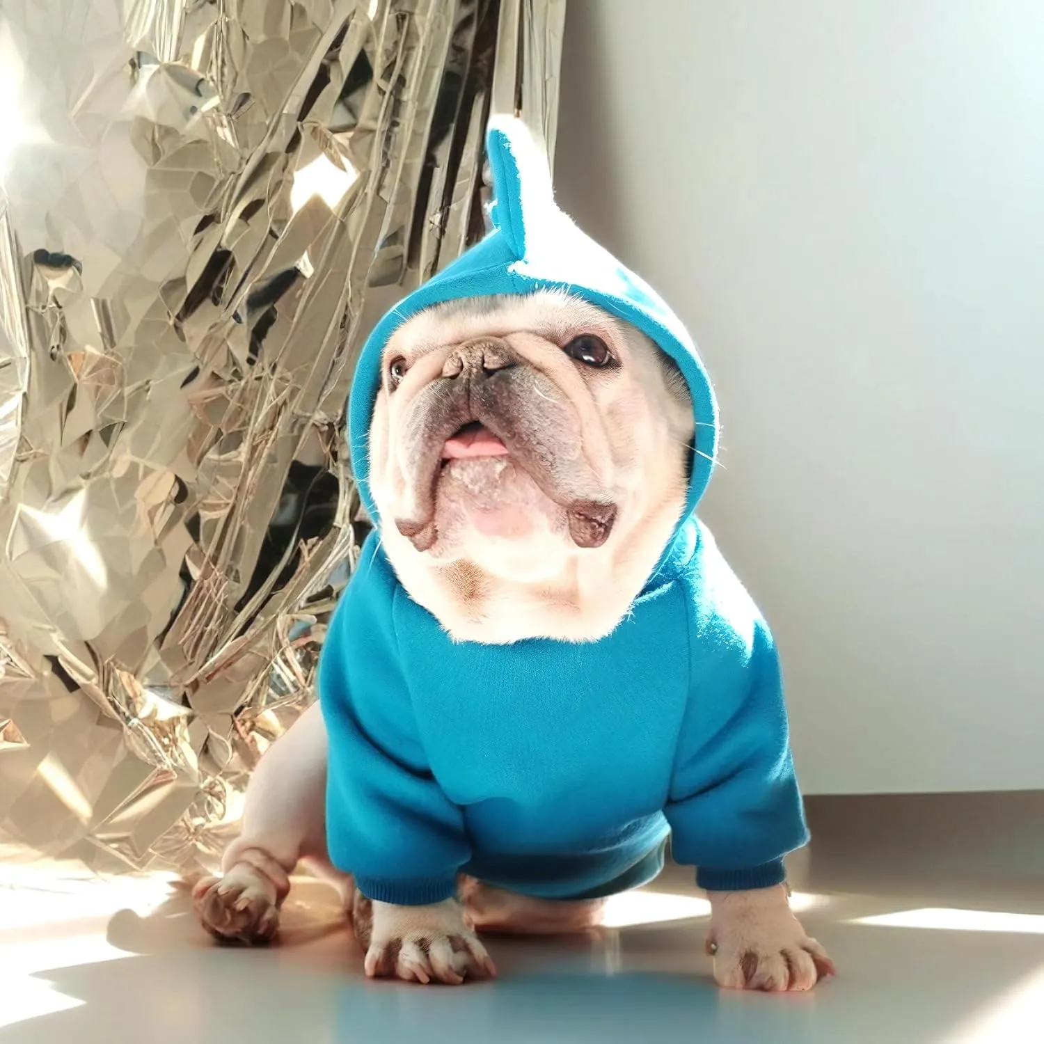 Dog Halloween Costume Hoodie, French Bulldog Sweater French Bulldog Clothes, Frenchie Clothes Sweatshirt Halloween Dinosaur Costume Winter Coat,Blue,XL