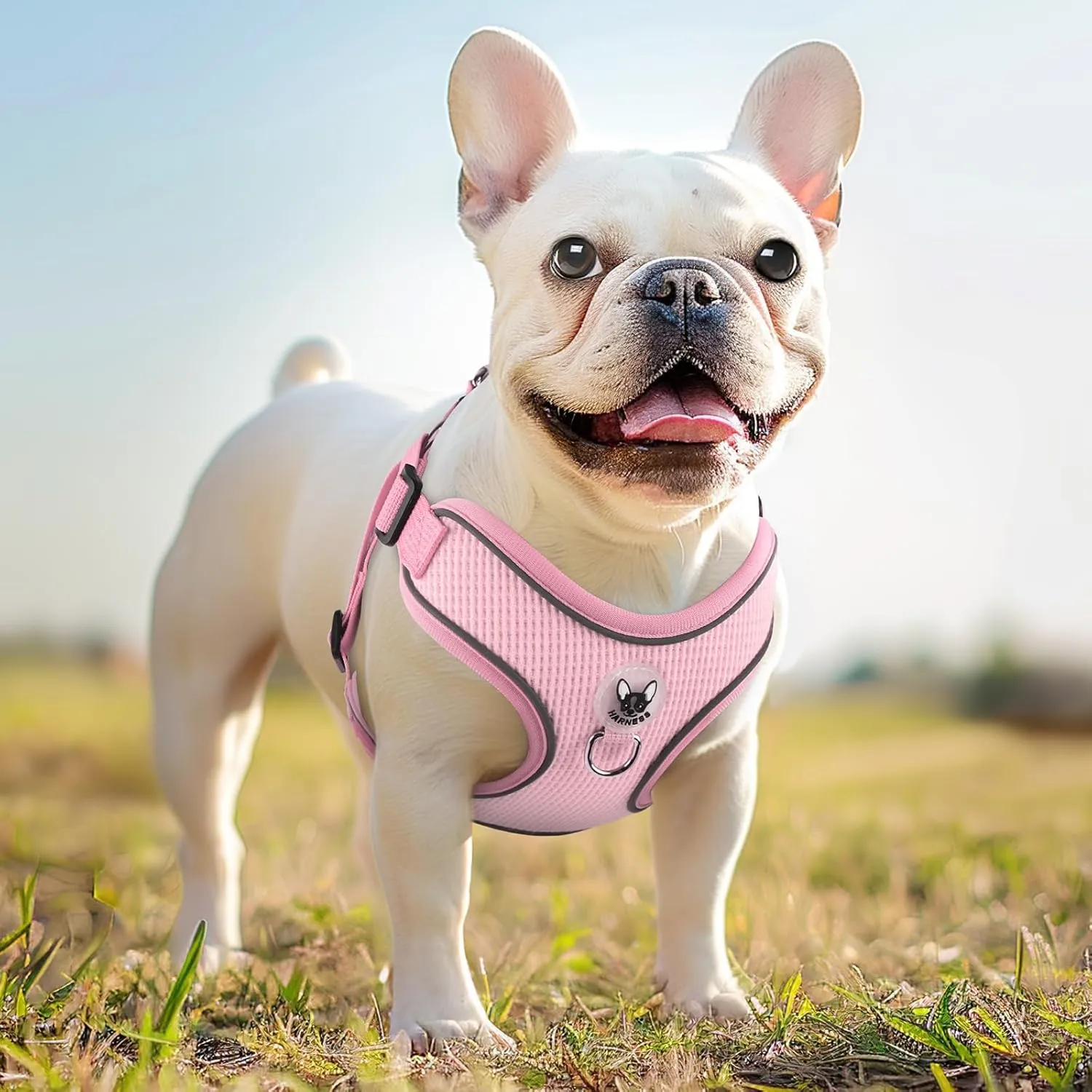 Dog Harness and Leash Set,4 Point Adjustable Reflective Dog Vest Harness,No Pull Harness-Leash for Small Medium Large Sized Dogs Puppy,S-Pink