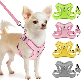 Dog Harness and Leash Set,4 Point Adjustable Reflective Dog Vest Harness,No Pull Harness-Leash for Small Medium Large Sized Dogs Puppy,S-Pink
