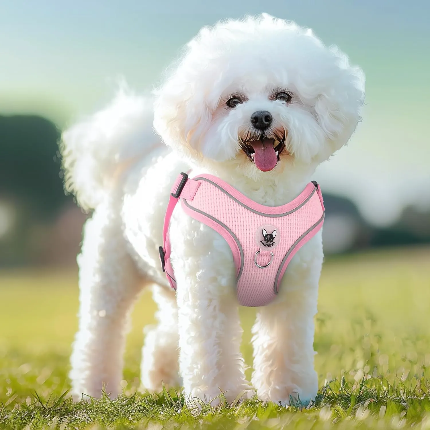 Dog Harness and Leash Set,4 Point Adjustable Reflective Dog Vest Harness,No Pull Harness-Leash for Small Medium Large Sized Dogs Puppy,S-Pink