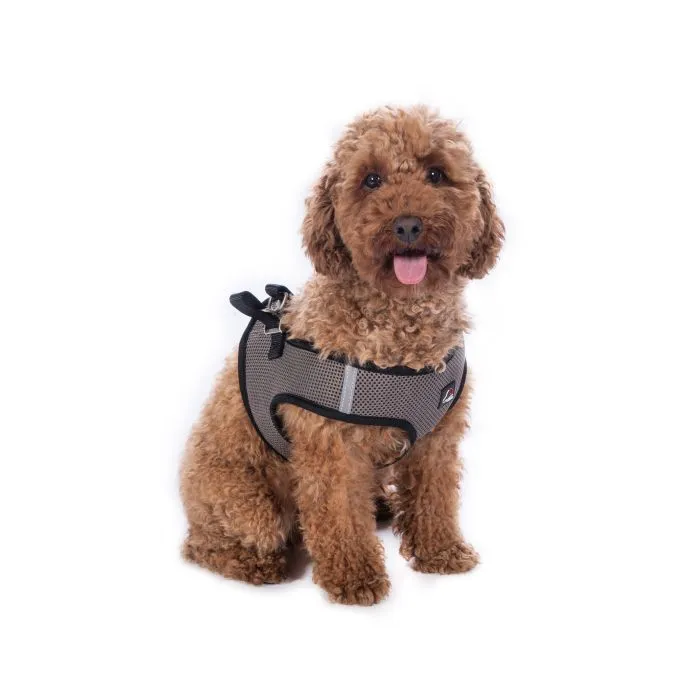 Dog Harness Buddy Soft