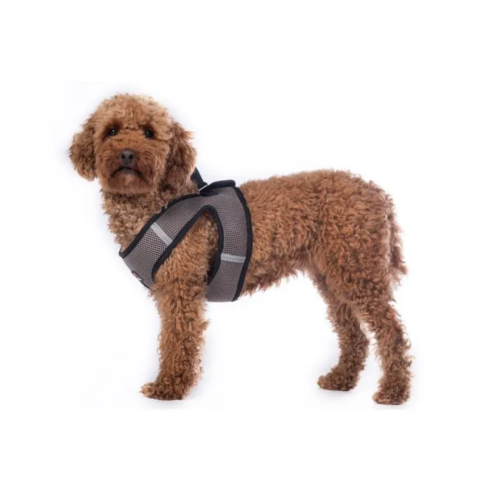 Dog Harness Buddy Soft