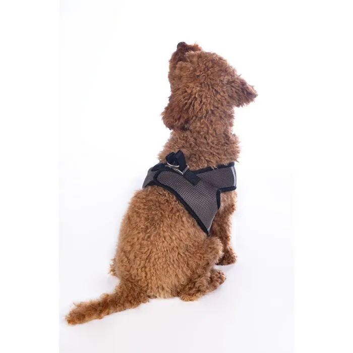 Dog Harness Buddy Soft