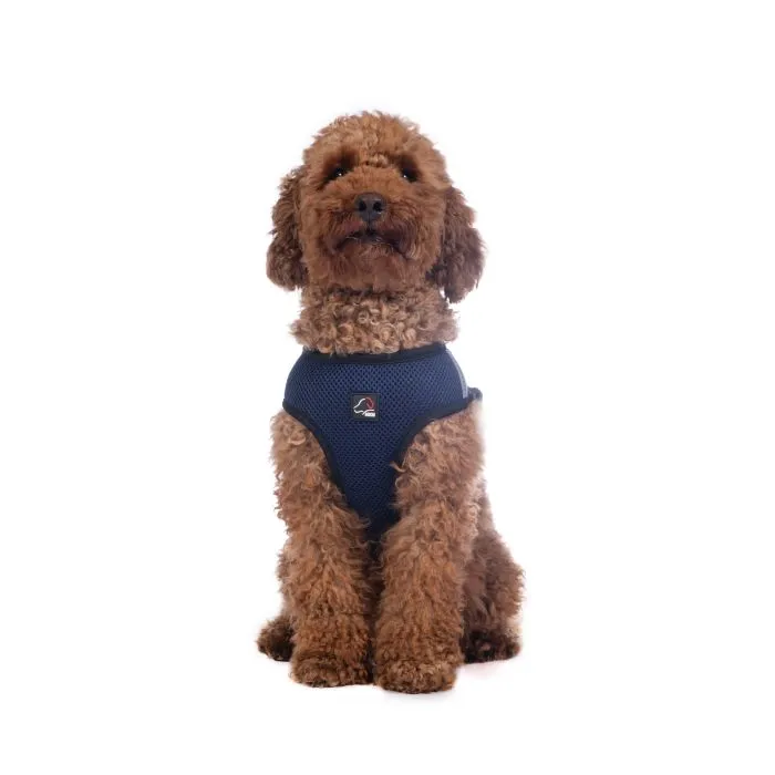 Dog Harness Buddy Soft