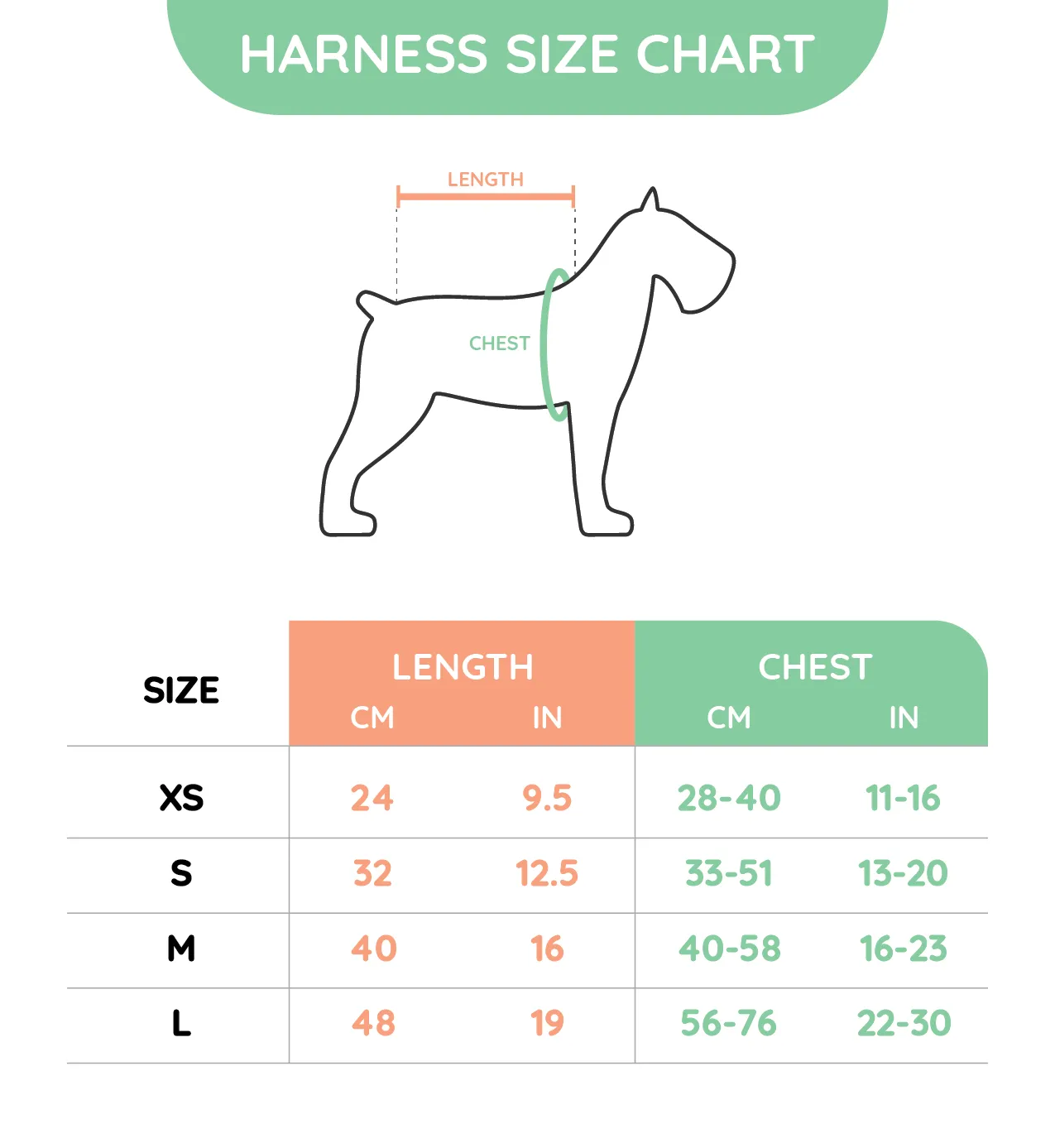 Dog Harness – Foodie Time