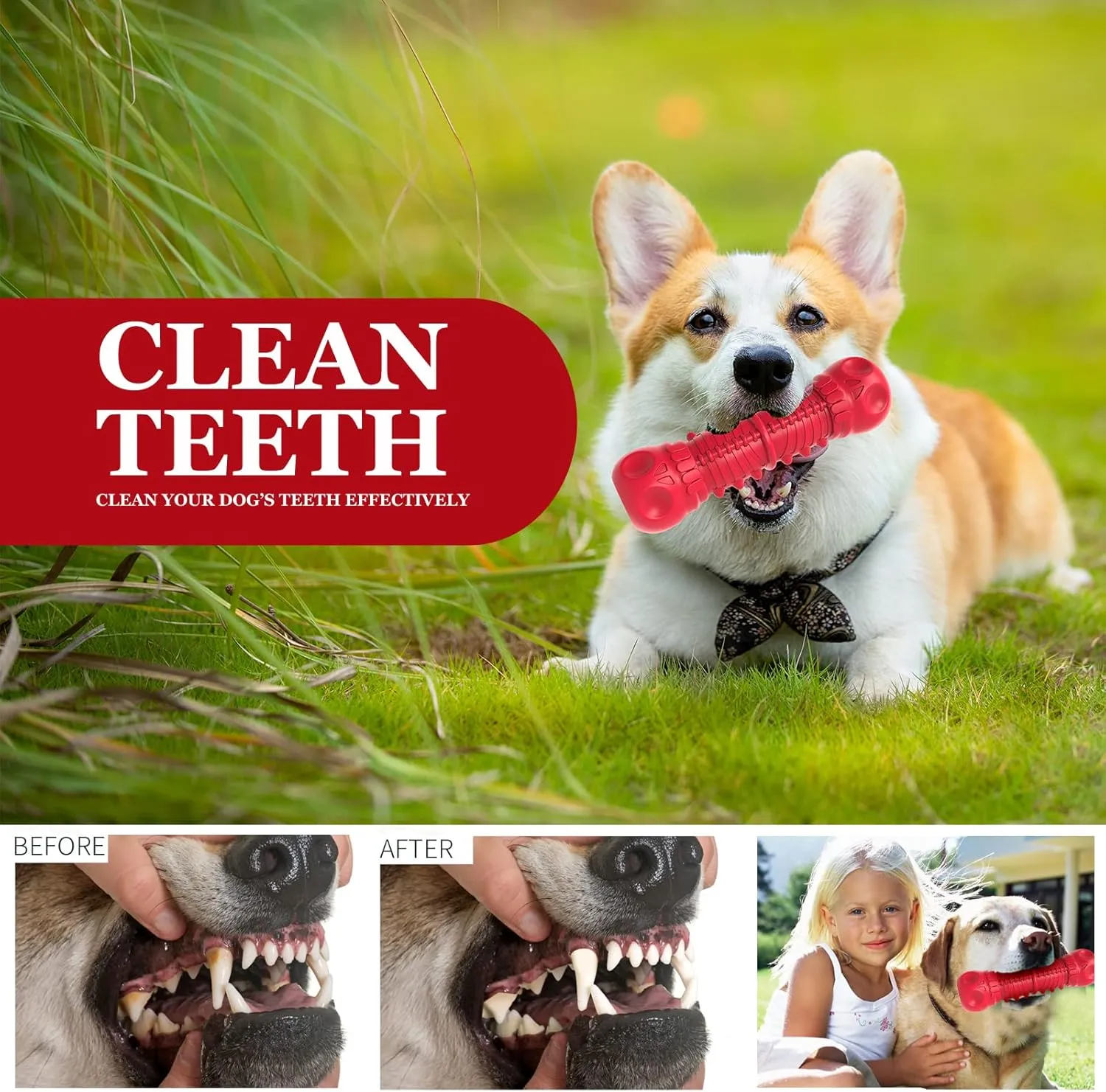 Dog Squeaky Toys for Aggressive Chewers, Durable Chew Toys for Large Medium Breed Dog, Tough Durable Dogs Toys with Natural Rubber