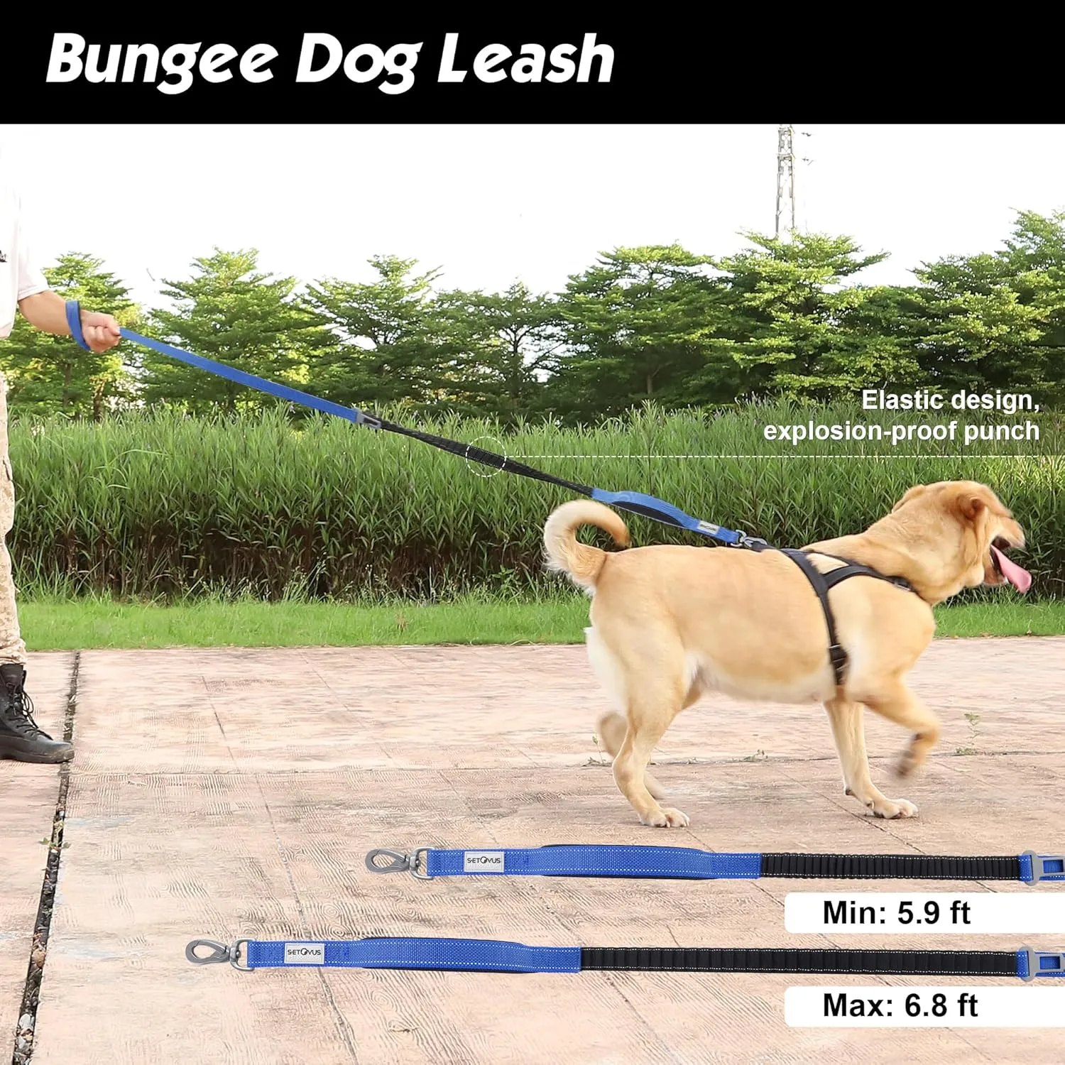 Double Handle Dog Leash - Heavy Duty, 4-6FT Reflective Tactical Leash with 2 Padded Handles, Shock Absorbing Bungee, Car Seatbelt & Easy Snap Hook, for Large, Medium & Small Dogs