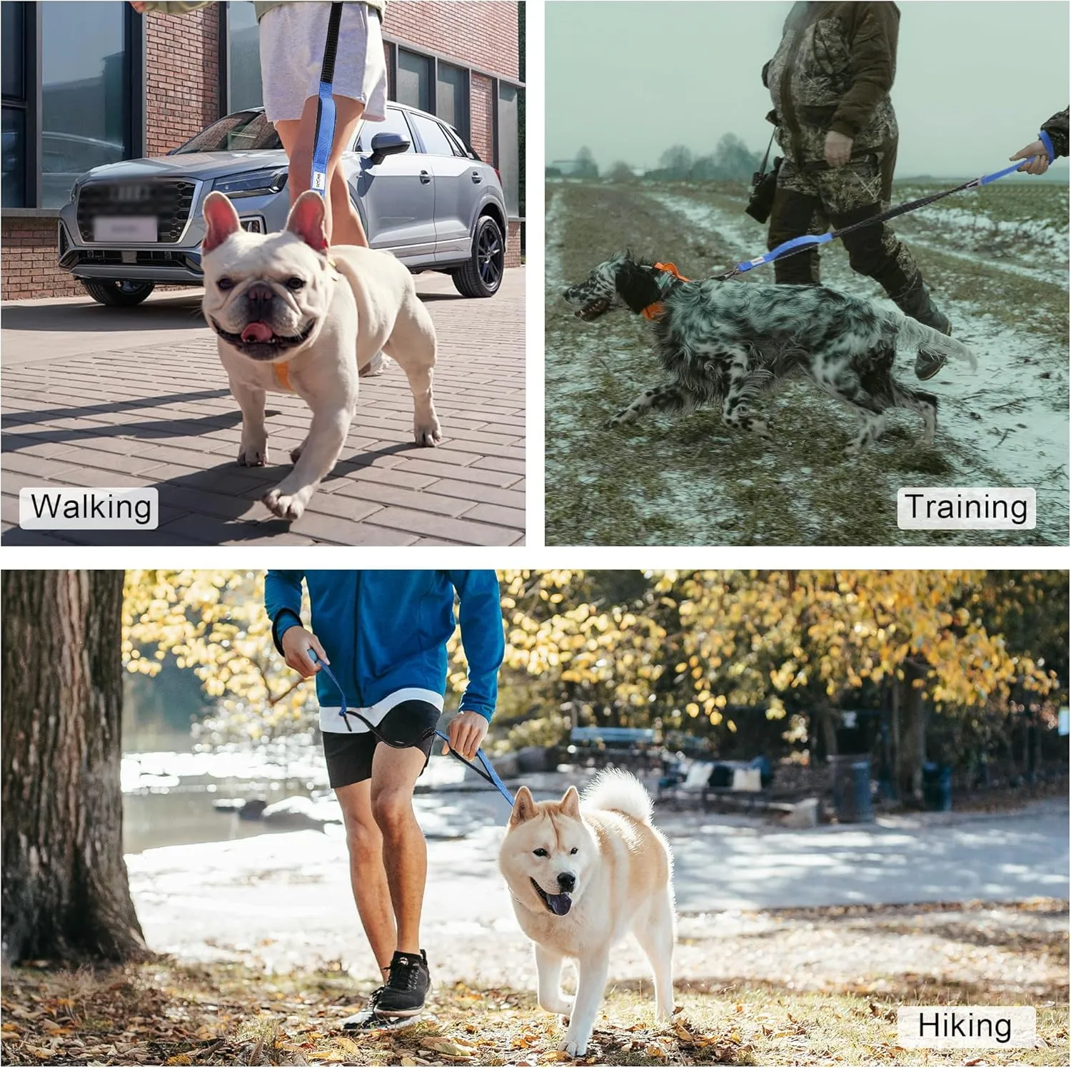 Double Handle Dog Leash - Heavy Duty, 4-6FT Reflective Tactical Leash with 2 Padded Handles, Shock Absorbing Bungee, Car Seatbelt & Easy Snap Hook, for Large, Medium & Small Dogs