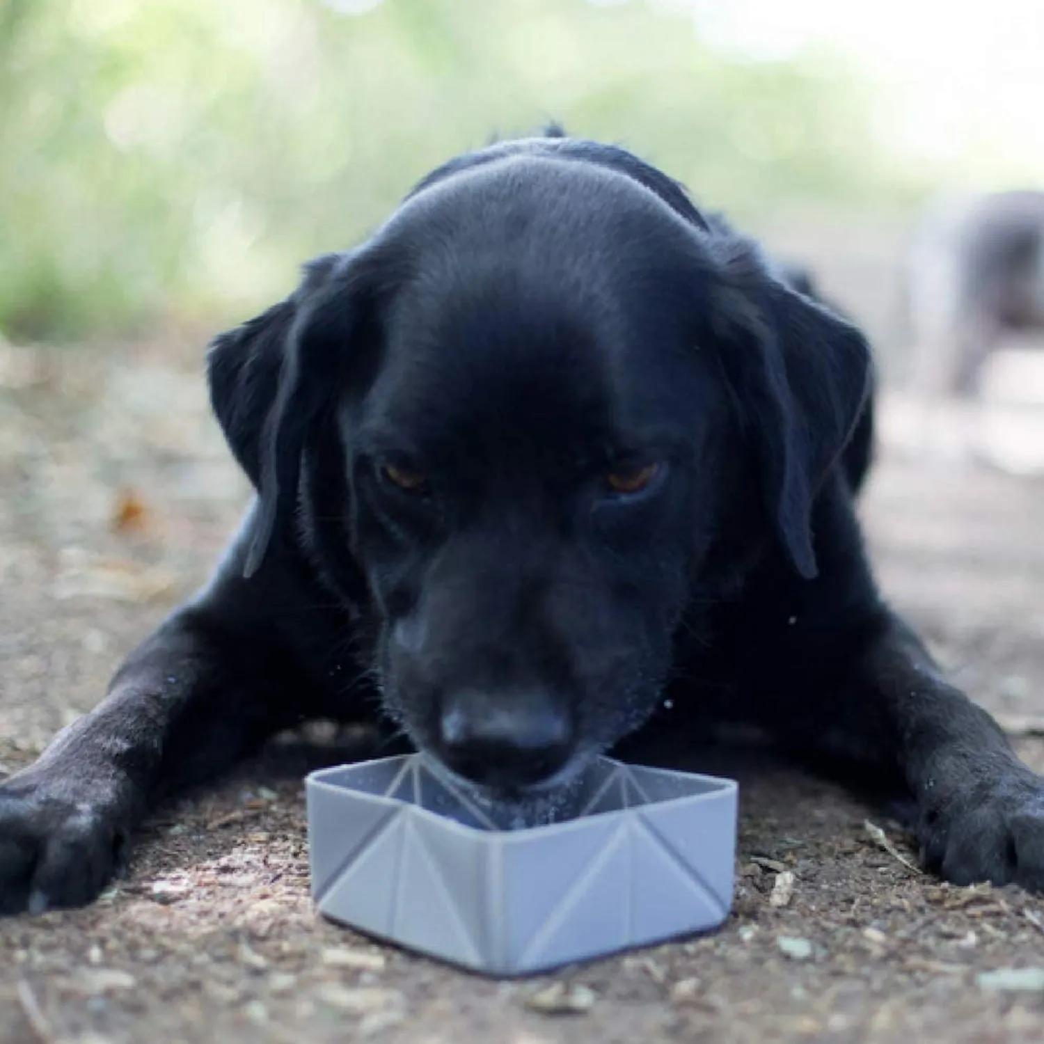 EasyPets Grey FoldaBowl Pet Travel Bowl