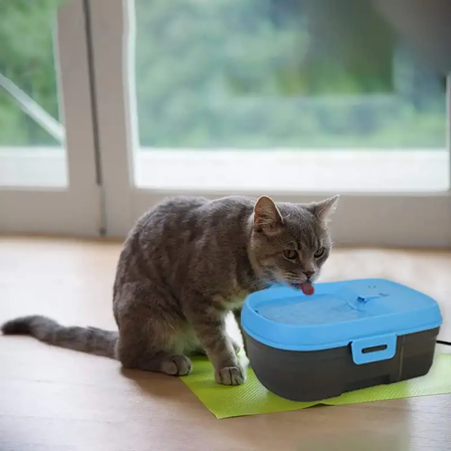 Goofy Tails Cordless Water Fountain for Cats