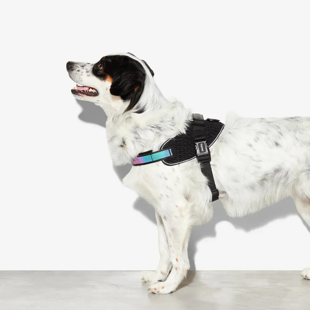 Gotham FlyHarness