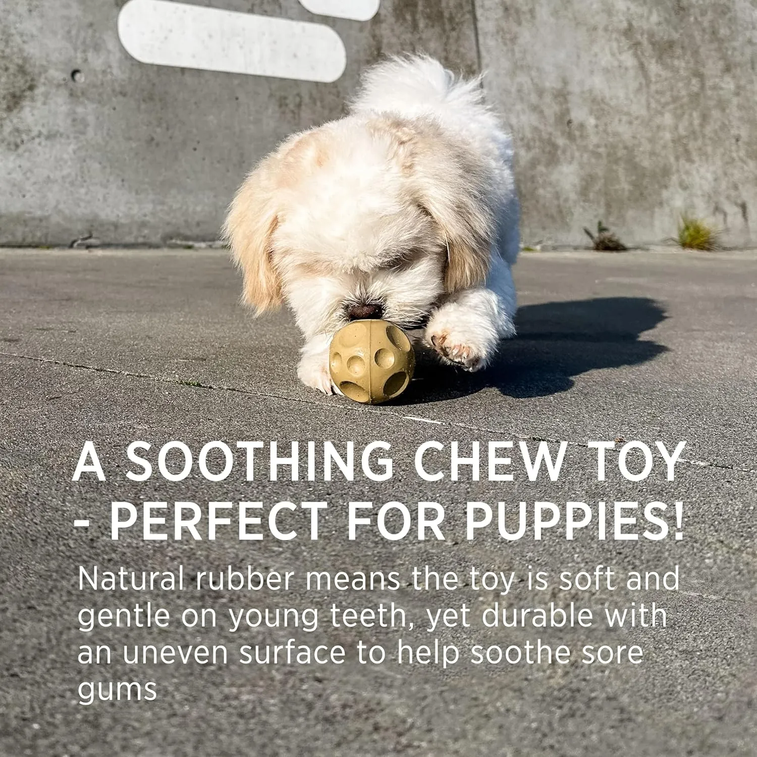 Hevea Moon Ball Activity Toy for Dogs (Old Rose) (Old Rose)