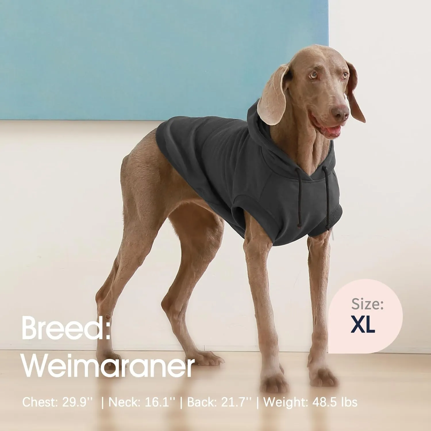 IECOii Dog Hoodie for Large Dogs,Large Dog Hoodie with Hat,Warm Dog Sweatshirt Hooded,Basic Hoodie for Dogs Spring Fall and Winter,XL Dog Sweater for Beagle,Border Collie,Grey,XL(No Fleece Lined)