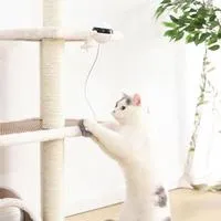 Interactive Electronic Motion Cat Toy Automatic Lifting Ball