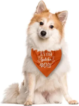 It's My 'Gotcha Day' Triangle Dog Scarf - Orange, Funny, Cute for Small to Large Dogs