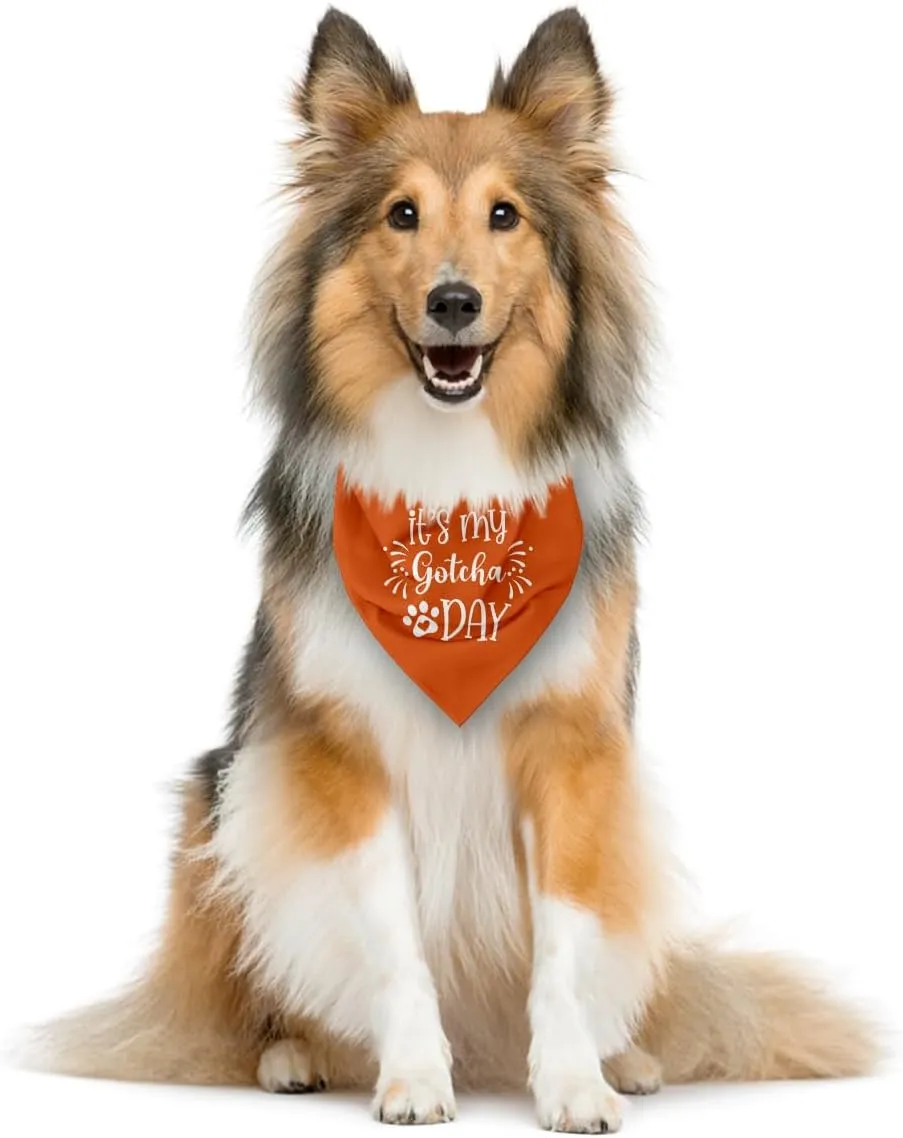 It's My 'Gotcha Day' Triangle Dog Scarf - Orange, Funny, Cute for Small to Large Dogs