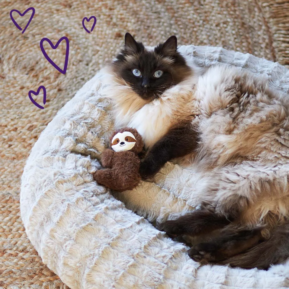 Jungle Sloth with catnip and silvervine