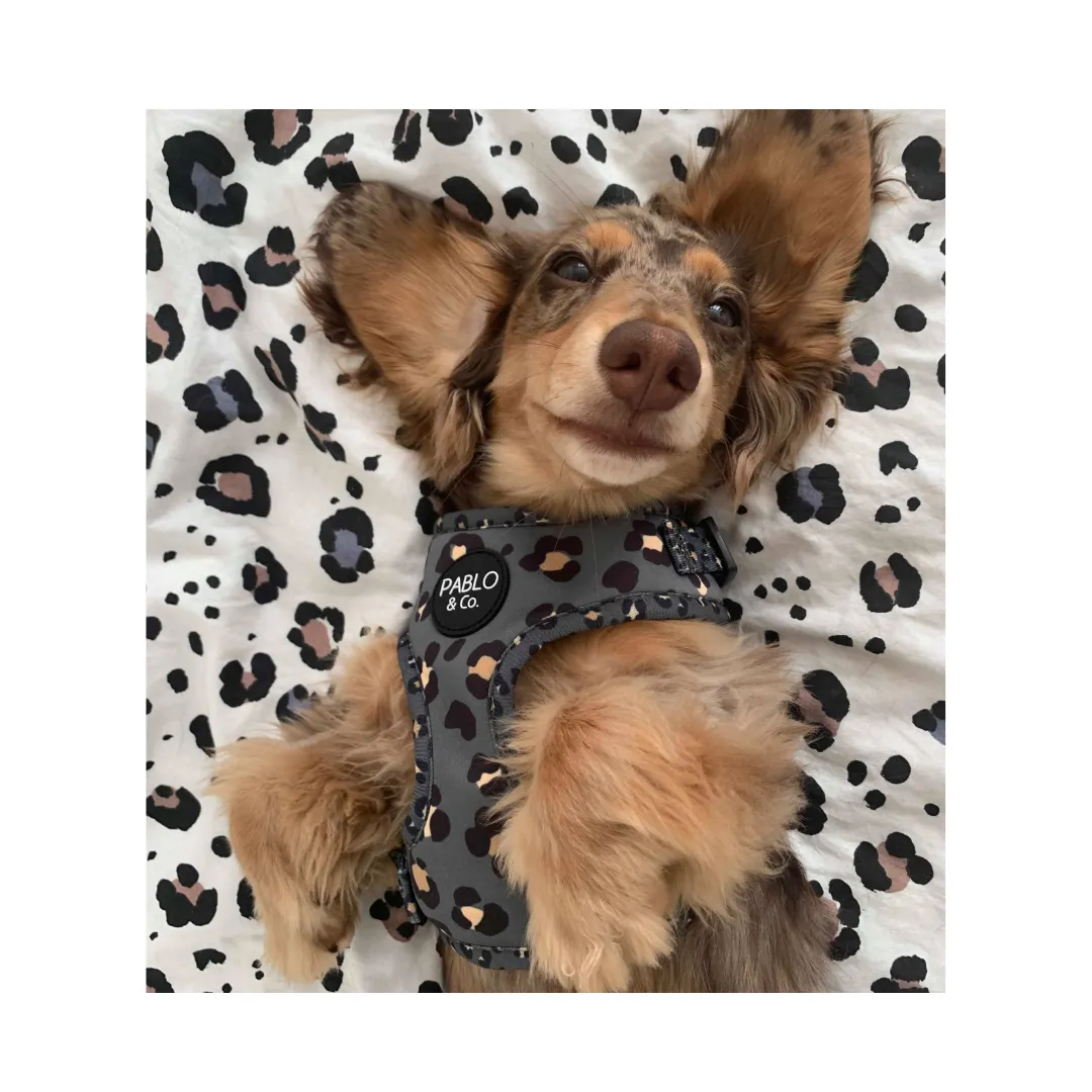 Khaki Leopard Adjustable Harness