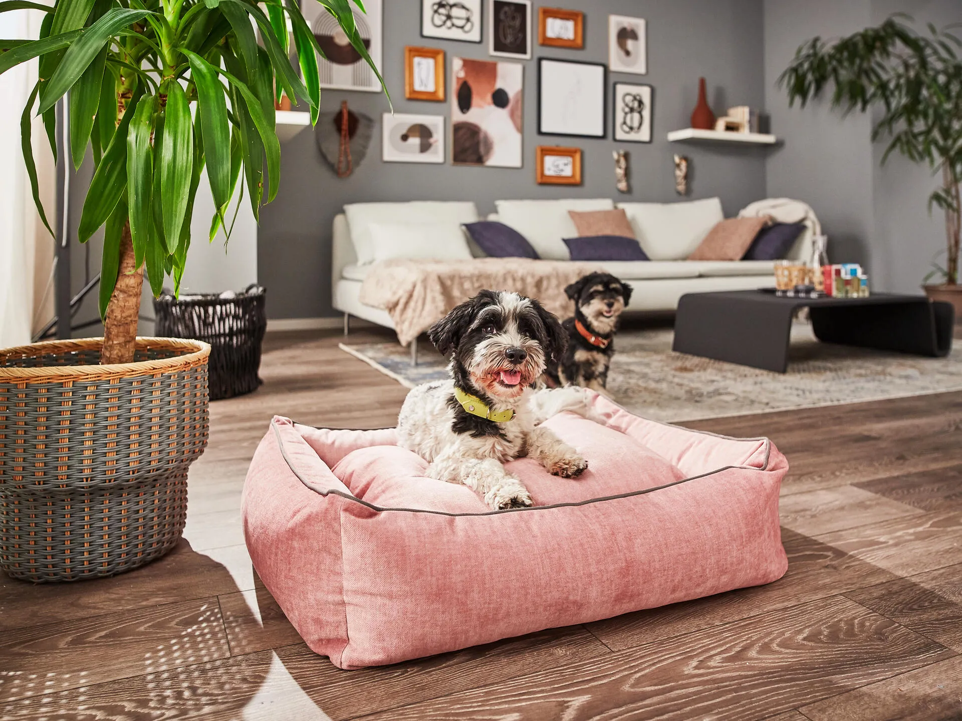 Laboni Orthopaedic Dog Bed Glam