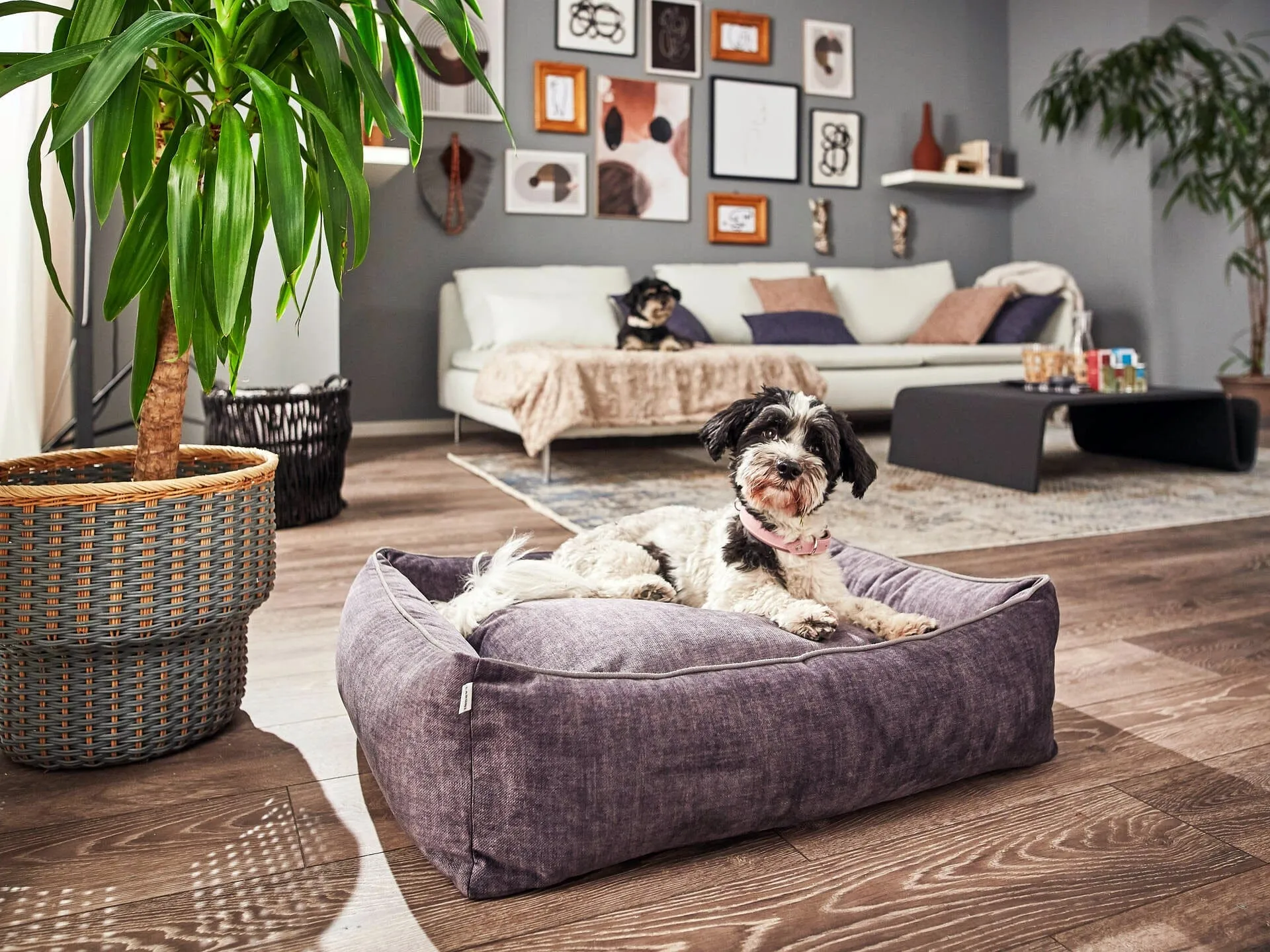 Laboni Orthopaedic Dog Bed Glam