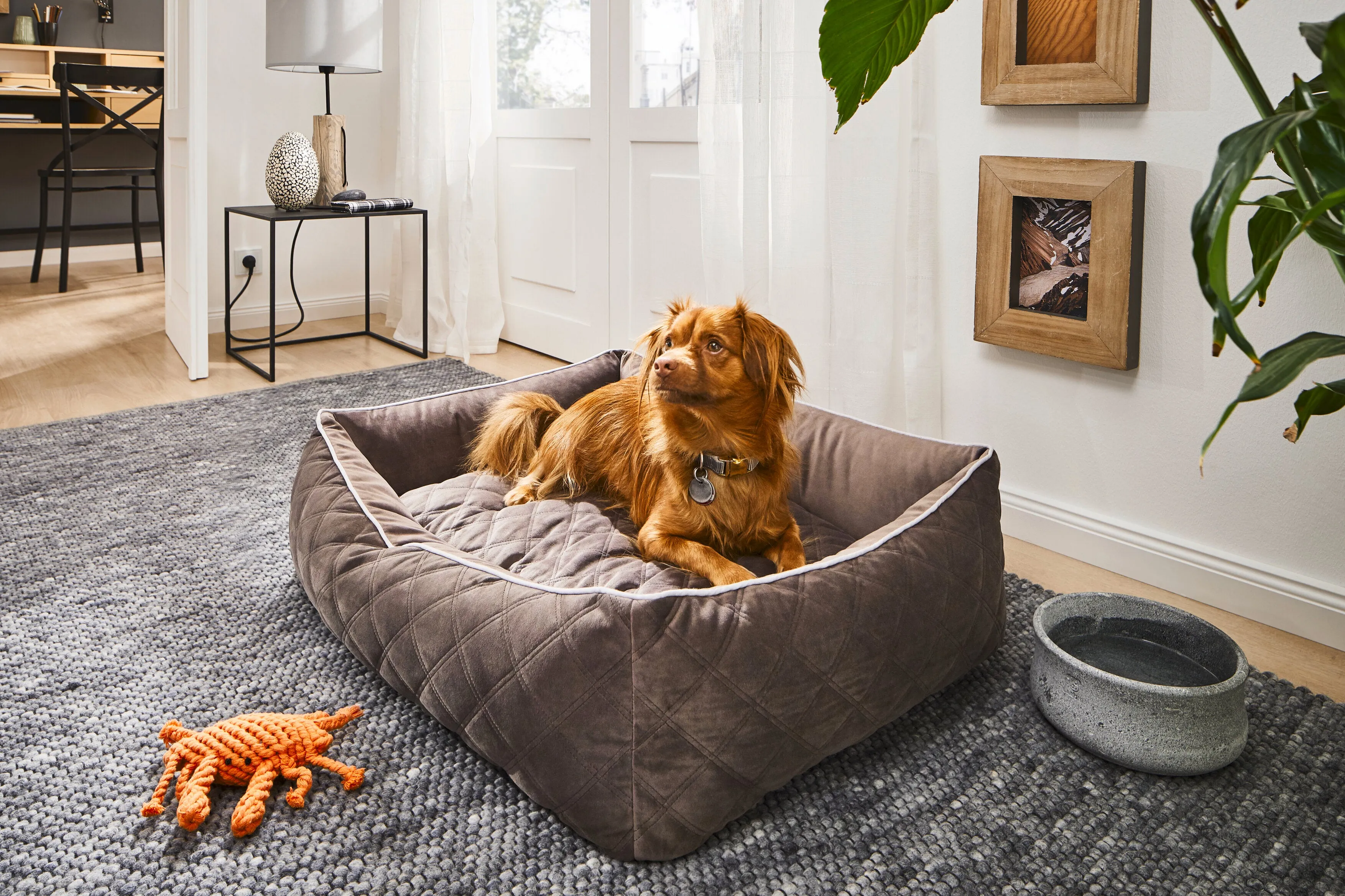 Laboni Orthopaedic Dog Bed Oxford