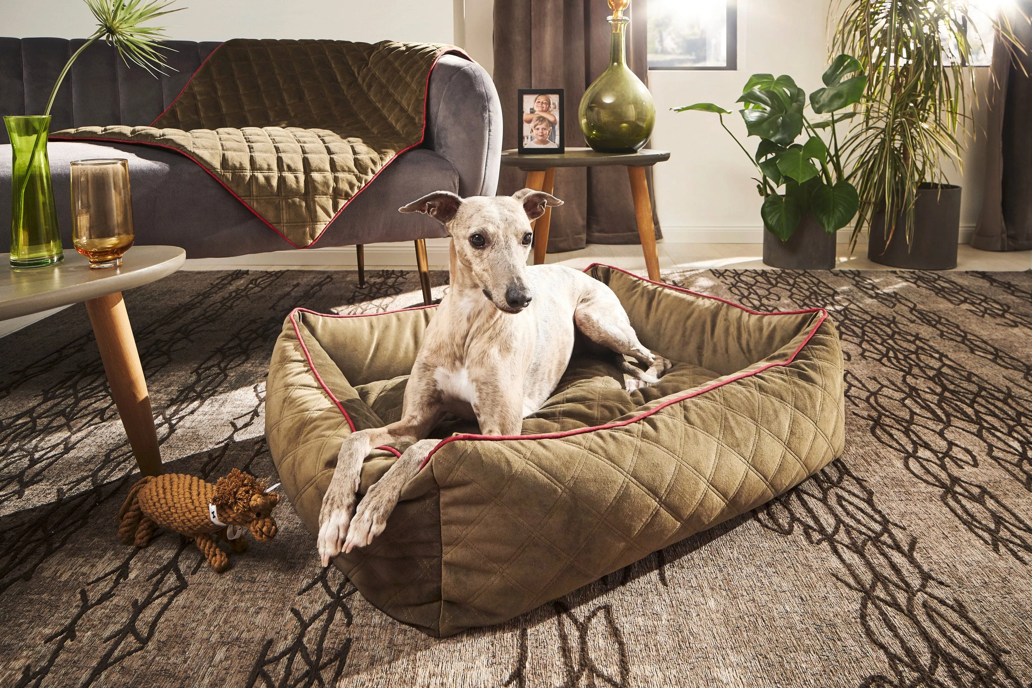 Laboni Orthopaedic Dog Bed Oxford