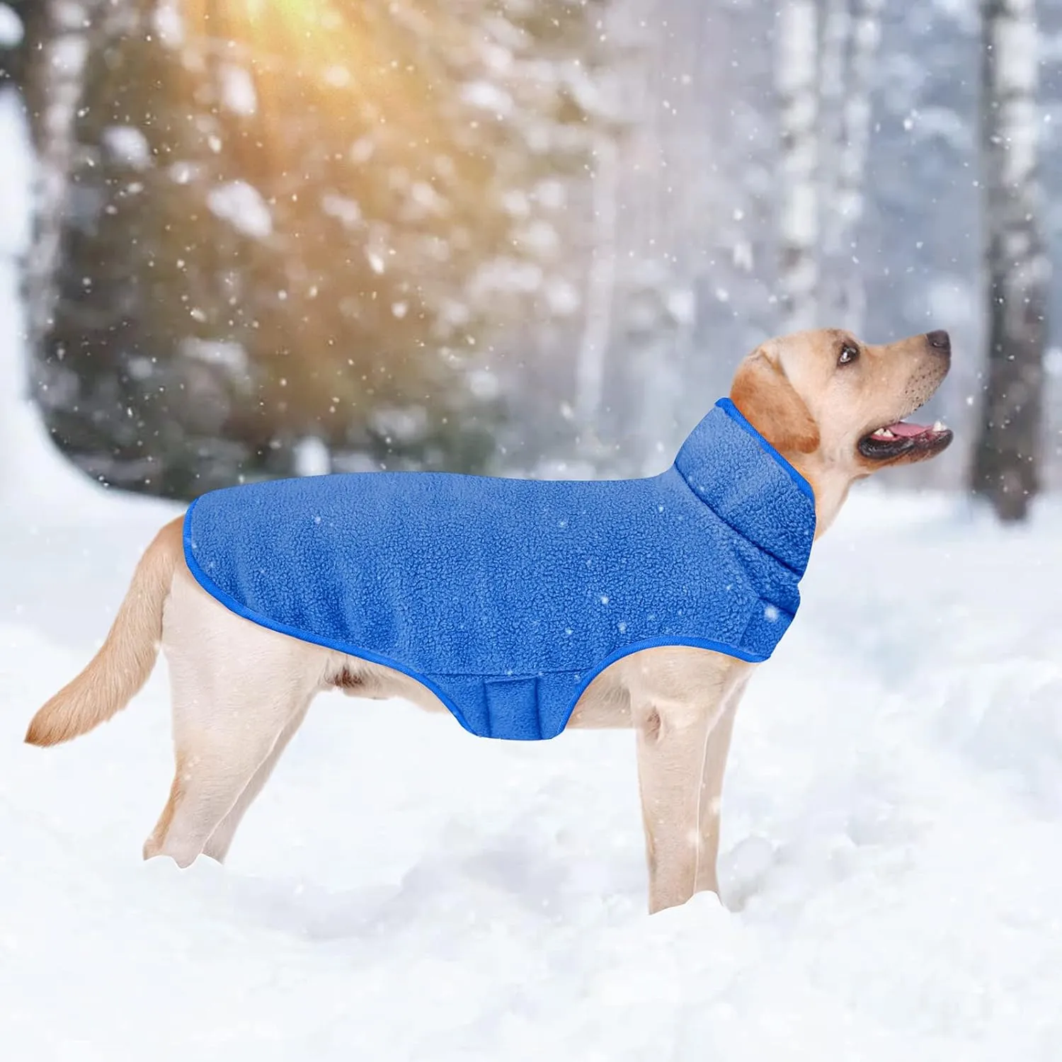 Malier Reversible Fleece Dog Coat, Windproof Warm Jacket for Dogs, Snow Vest - Blue, Small
