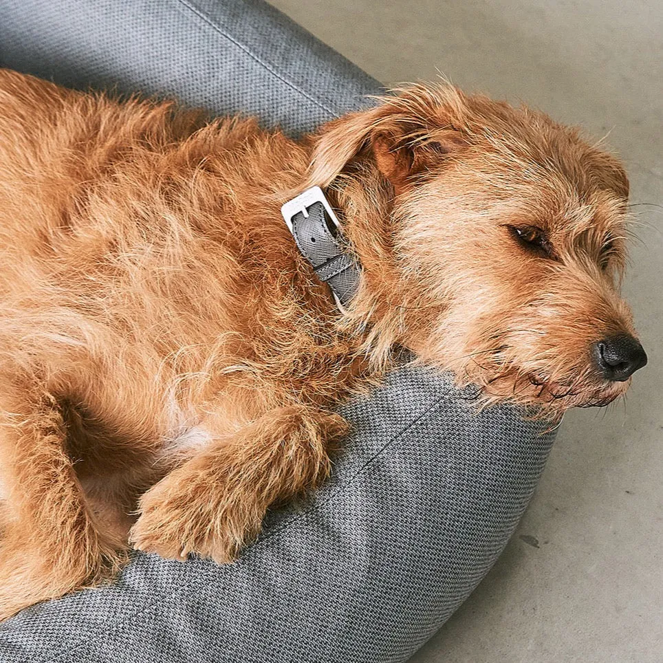 Mare Dog Bed